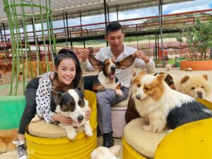 Nông trại cún Puppy Farm Đà Lạt